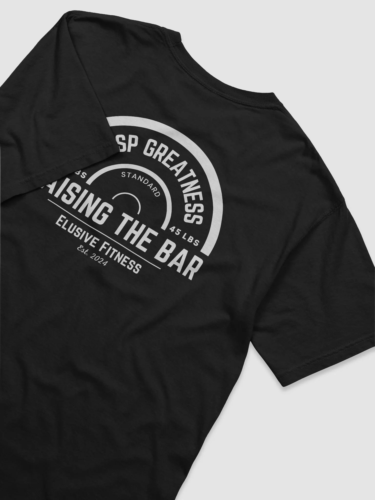 Raising The Bar Heavyweight T-Shirt product image (3)