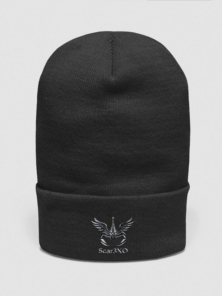 Logo '25 Beanie product image (1)