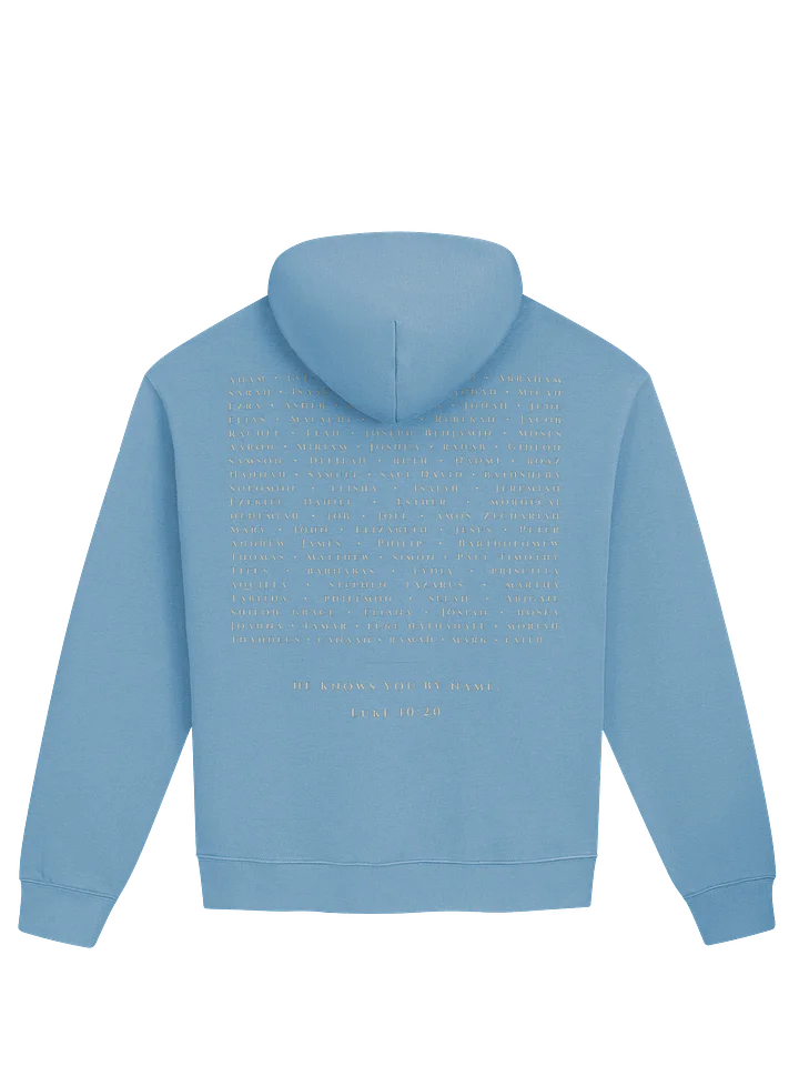 FOUND Premium Oversized Hoodie product image (2)