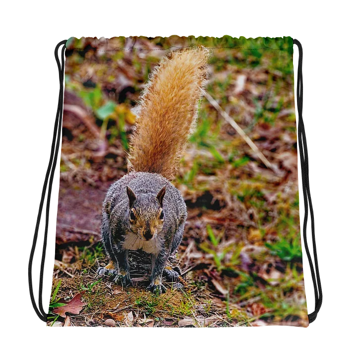 Grey Squirrel Drawstring Bag product image (1)