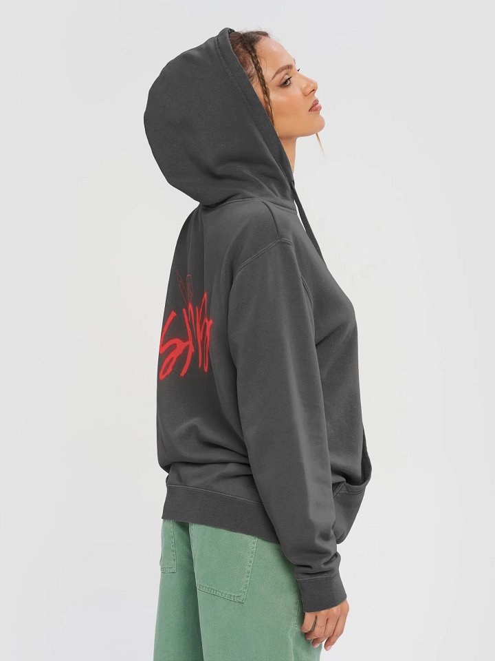 80% Cotton SPB Hoodie product image (1)