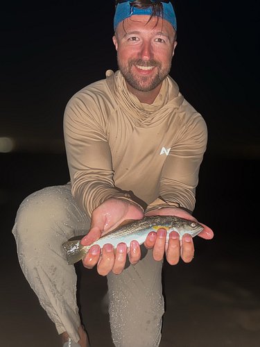 The Great Weakfish “Blitz” of ‘26 😂. Steve, ( @thelinecookfishing ) and I spent the whole afternoon looking for fluke and ins...