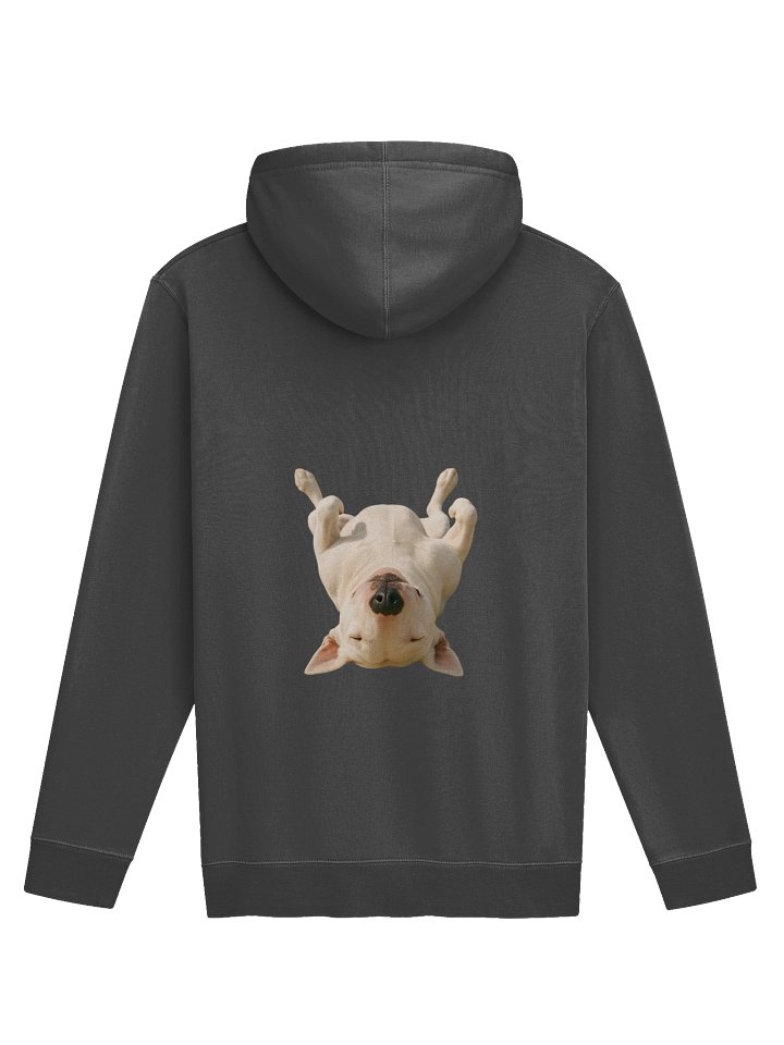 Bull Terrier TOP MODEL Absolute Ease! product image (2)