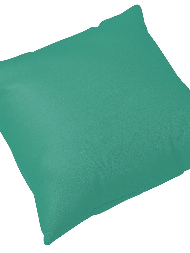 Columbia Road Market Logo Print Pillow (Light Teal) product image (2)
