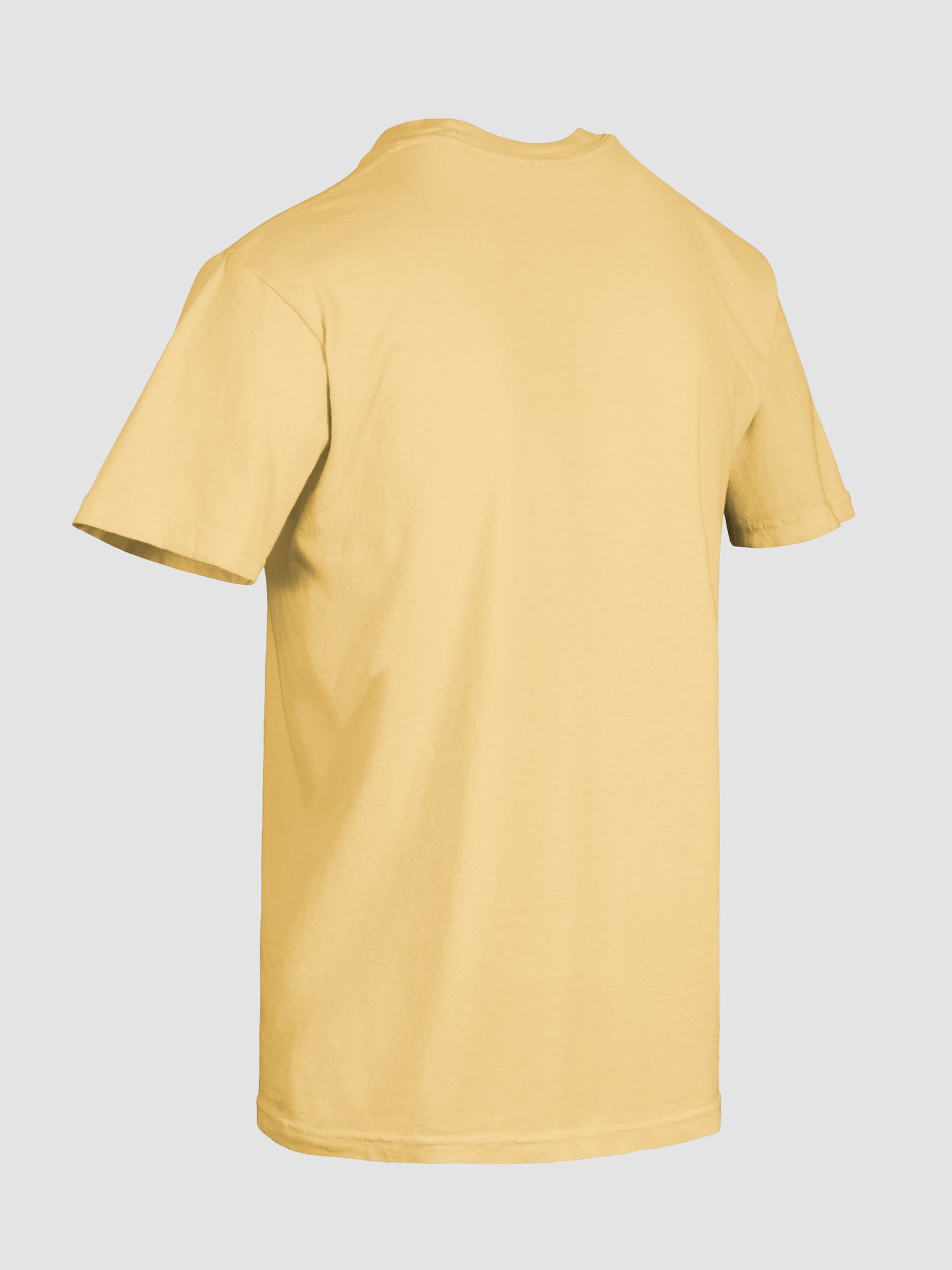 CERTEXAS Invisible Comfort: Garment-Dyed T-Shirt product image (8)