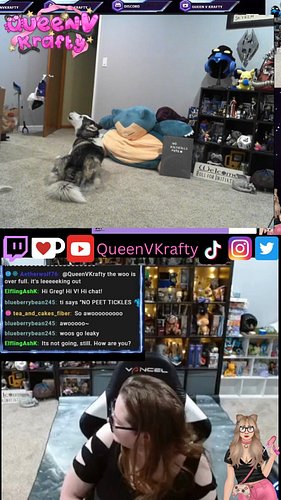 Tidus always has a lot to say! His nonstop awooo woo wooing is just small part of the Twitch channel lol Ti always comes and ...