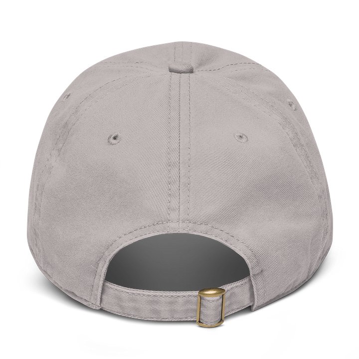 THE SMOKE DOCTORS RETRO LOGO GRAY CAP product image (2)