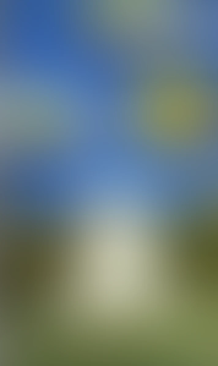 Video thumbnail background