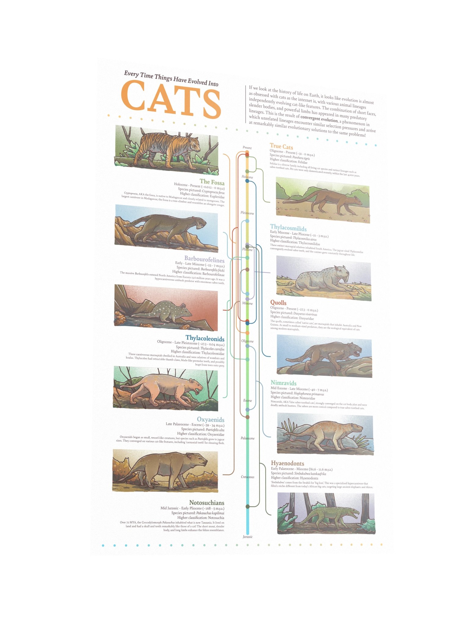 Cat Convergence Poster product image (2)