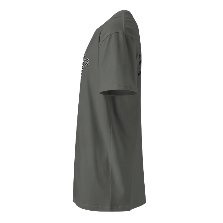 Wolf Asylum Embroidered Tee (Charcoal, Natural or White) product image (4)