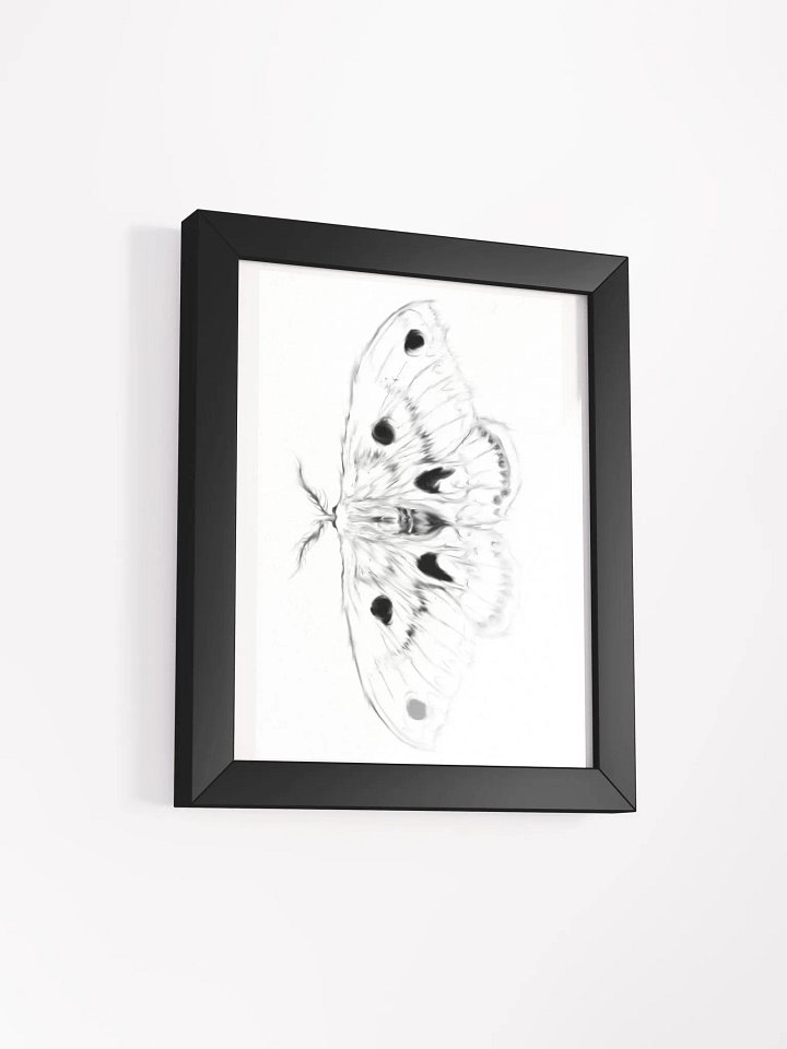 Cecropia Moth Print product image (6)