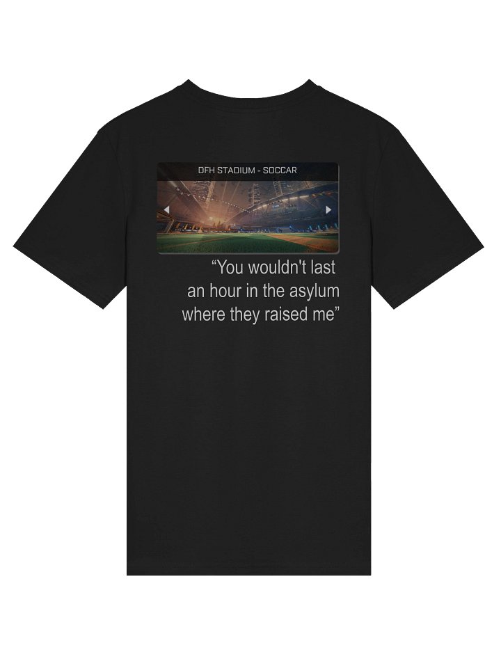 DFH Stadium "Insane Asylum" T-Shirt product image (28)