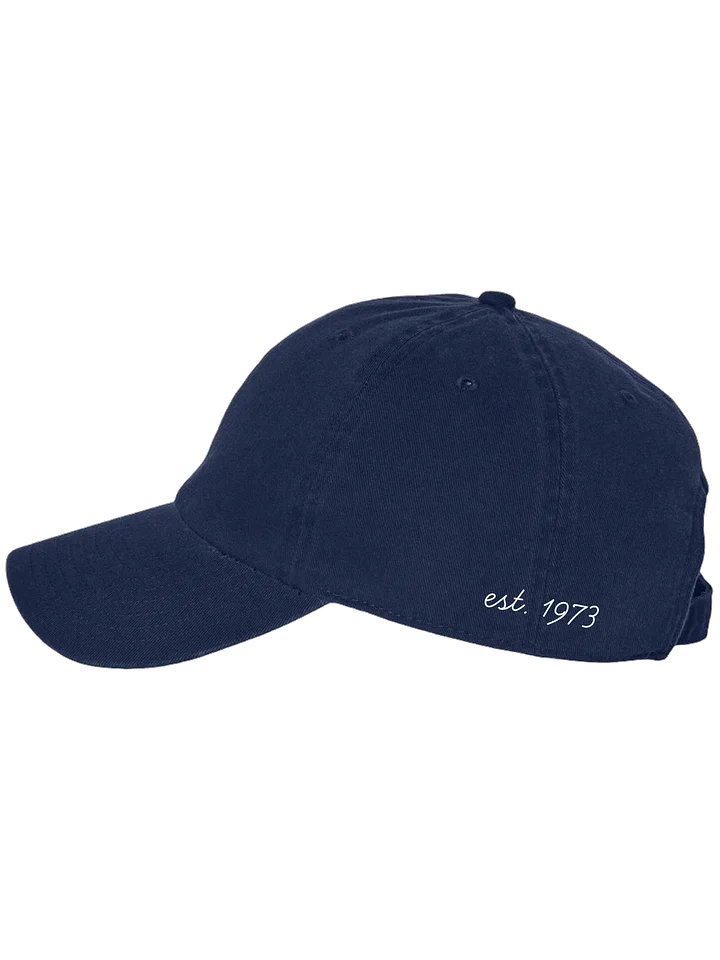 WIF VINTAGE UNISEX ‘47 CAP product image (2)