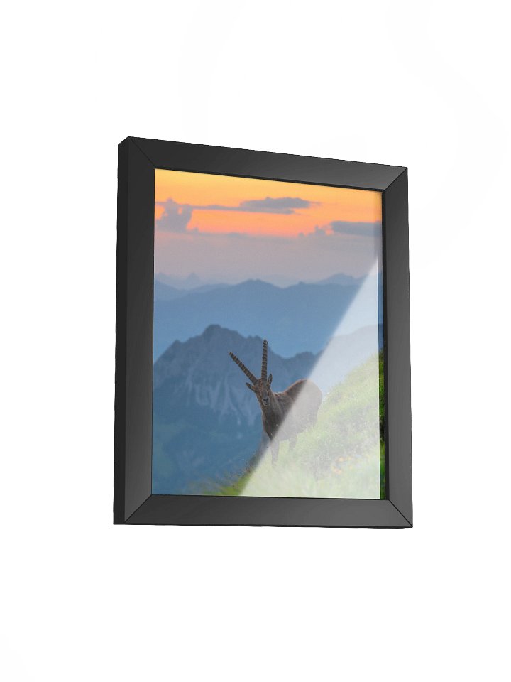 Ibex at the Brienzer Rothorn product image (2)