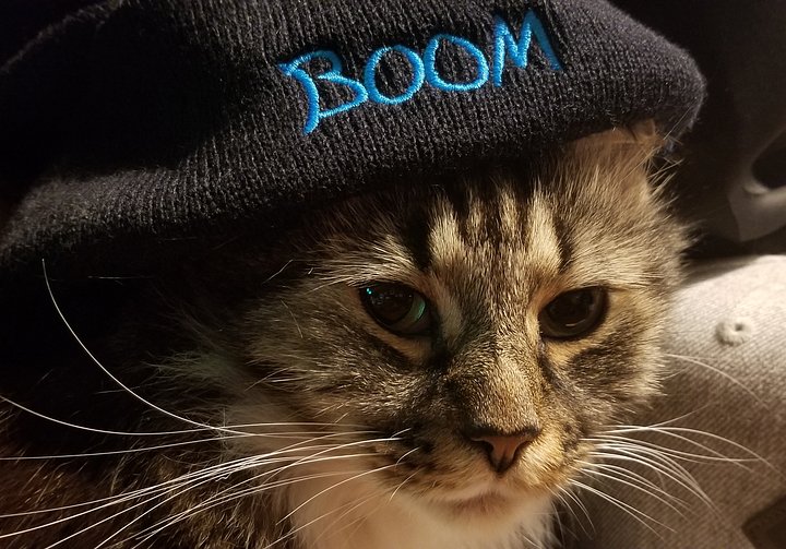 BOOM BLOO Embroidered Beanie product image (2)