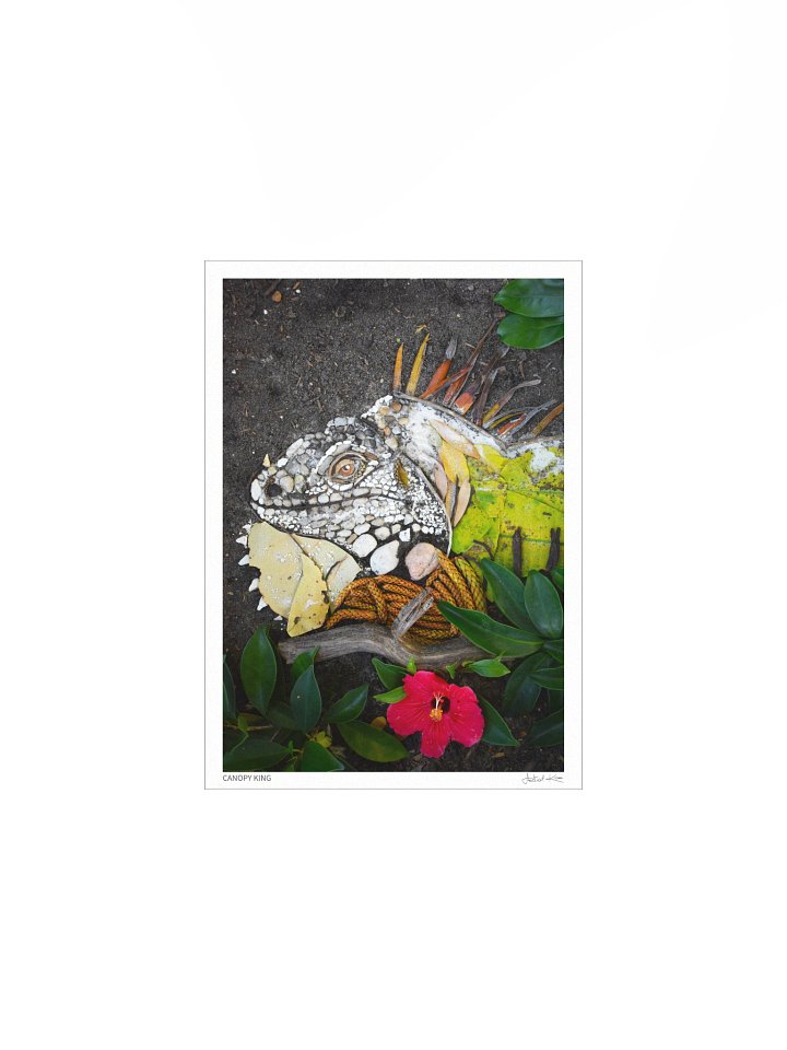 CANOPY KING | Fine Art Print product image (2)