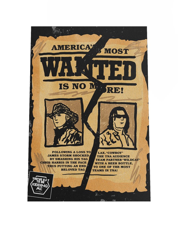 End of AMW - January 2007 Poster product image (1)