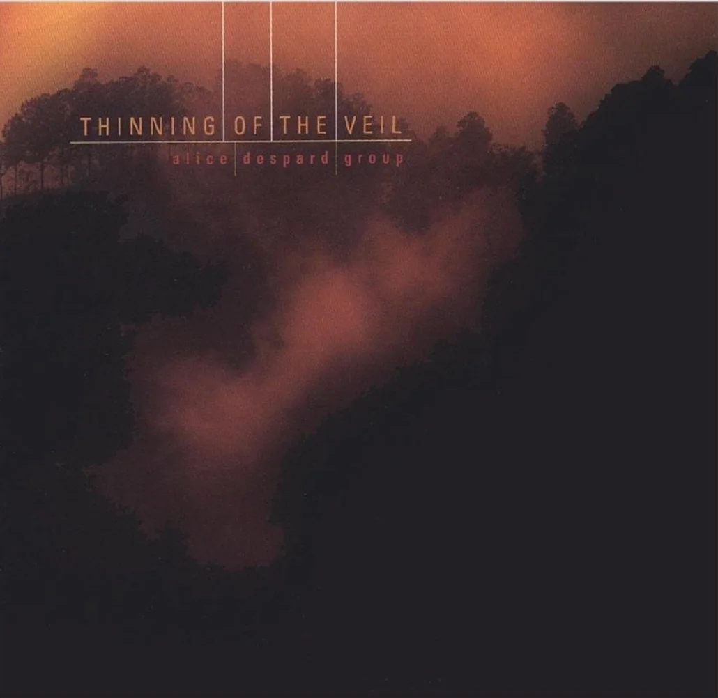 Superfine Comb (track) product image (1)