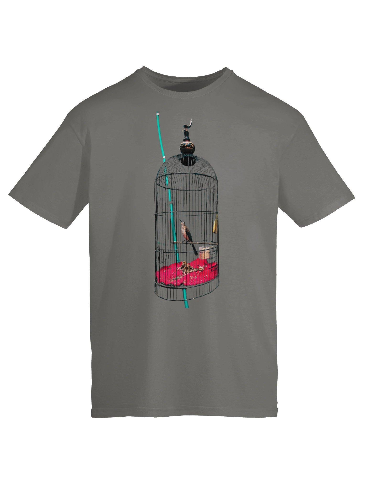Bird in the Cage Graphic Tee product image (7)