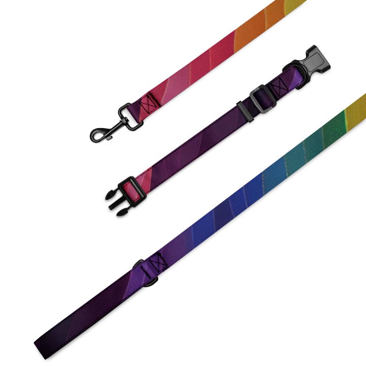Rainbow Dog Leash and Collar Set product image (2)