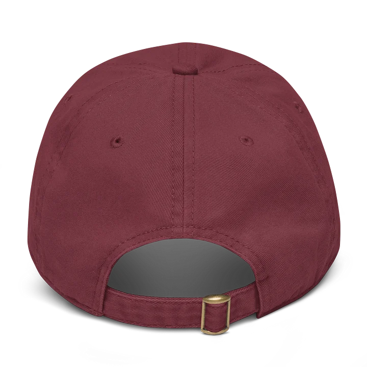 Streamtrains LIVE "STRM 2022" Passionate Railfan Cap product image (2)