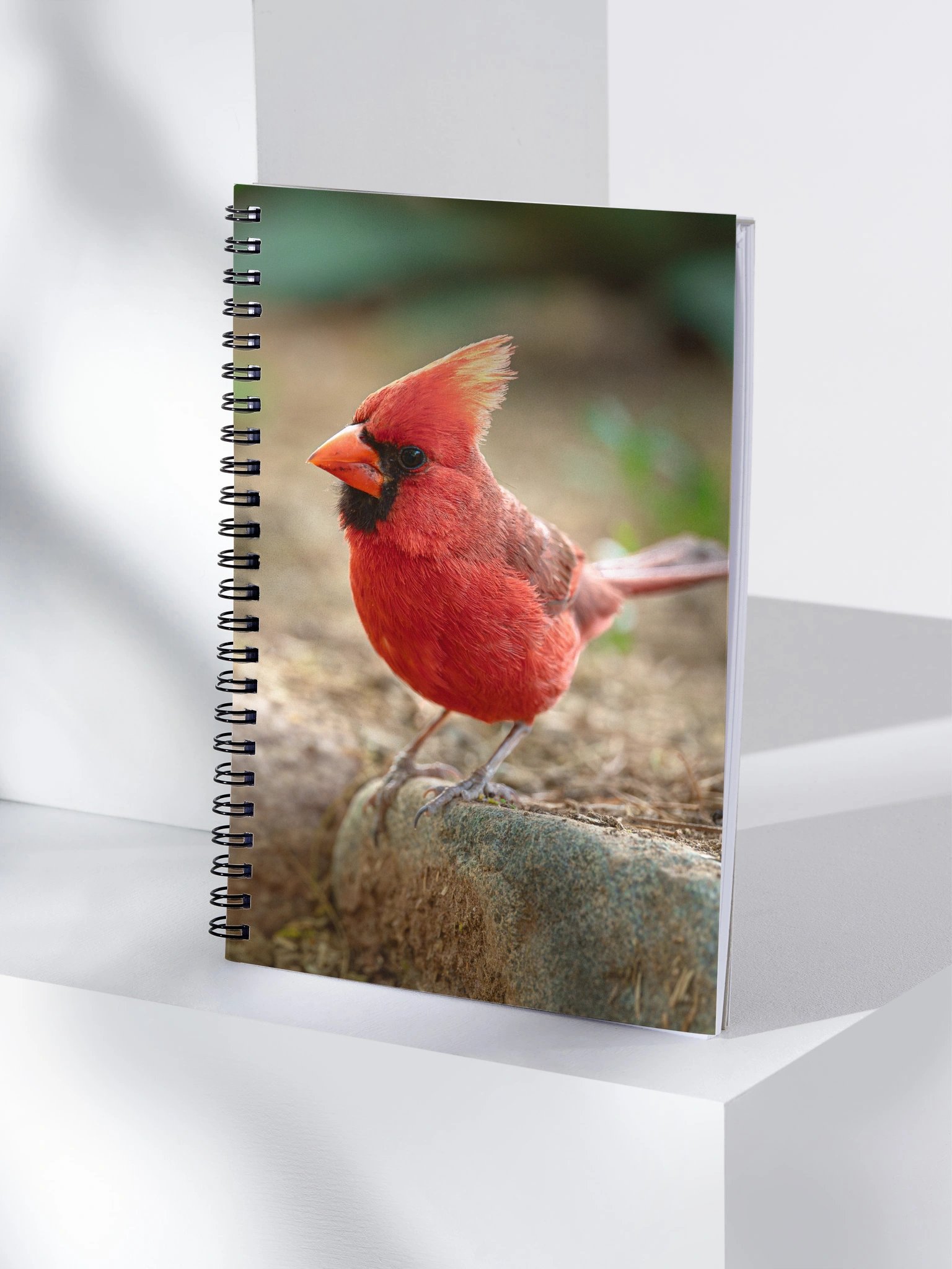 A Special Visitor product image (4)
