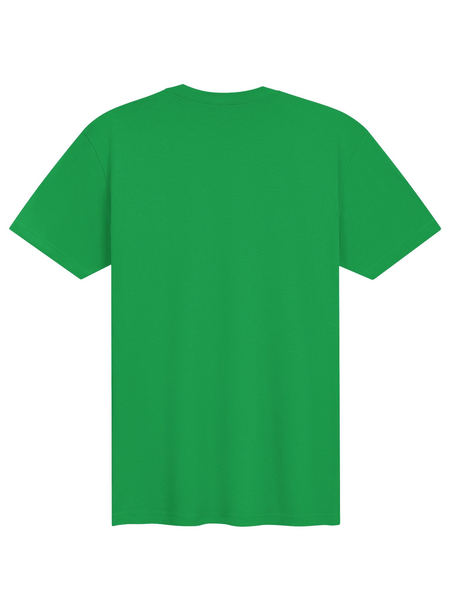Legends of the Lucha Temple (T-Shirt) product image (10)