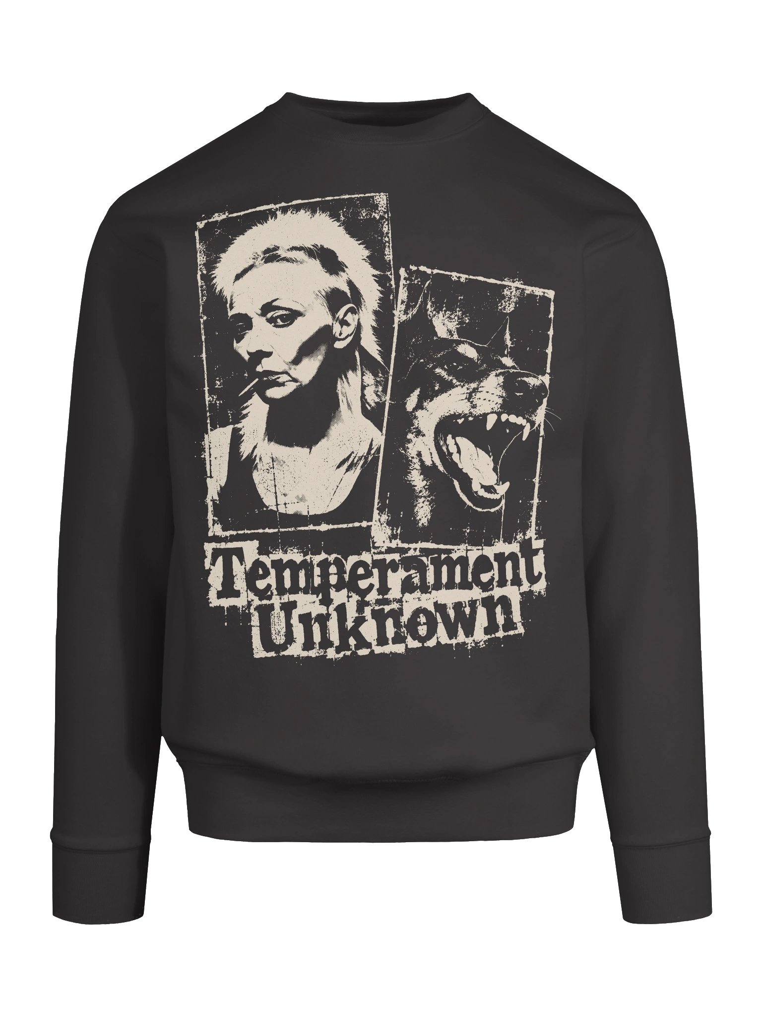 Temperament Unknown Premium Sweatshirt product image (5)
