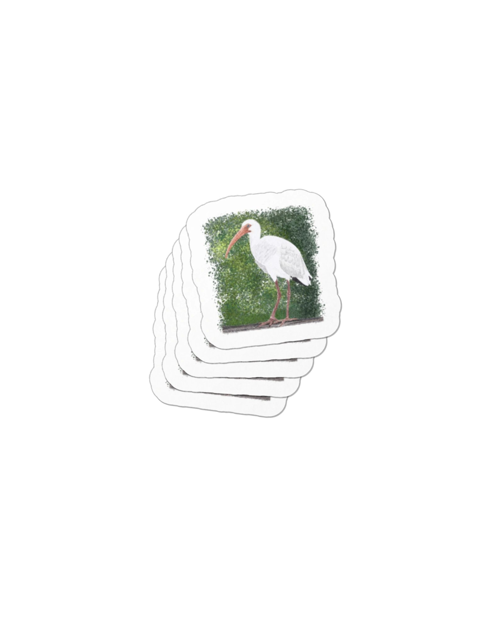 Ibis product image (2)