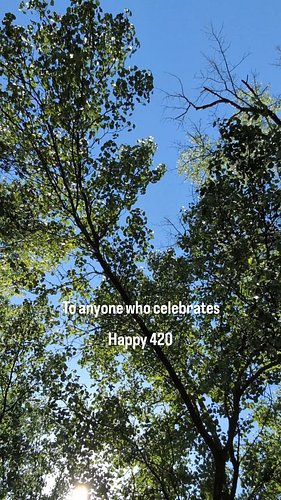 High friends, happy 420 to all who celebrate! Today is a beautiful day and I hope everyone can take advantage of this wonderf...