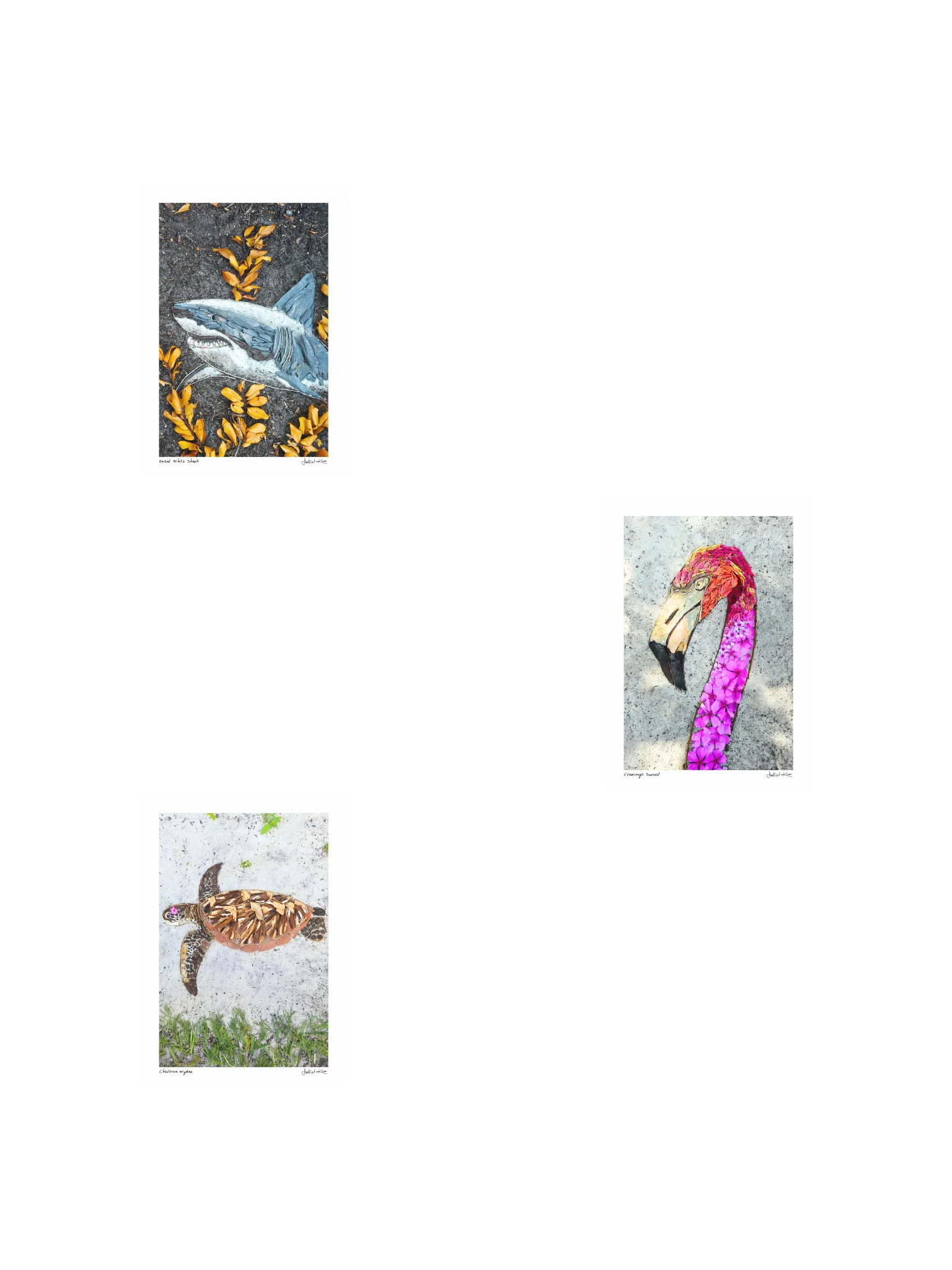 COASTAL VIBES | Mini Print Collection product image (1)