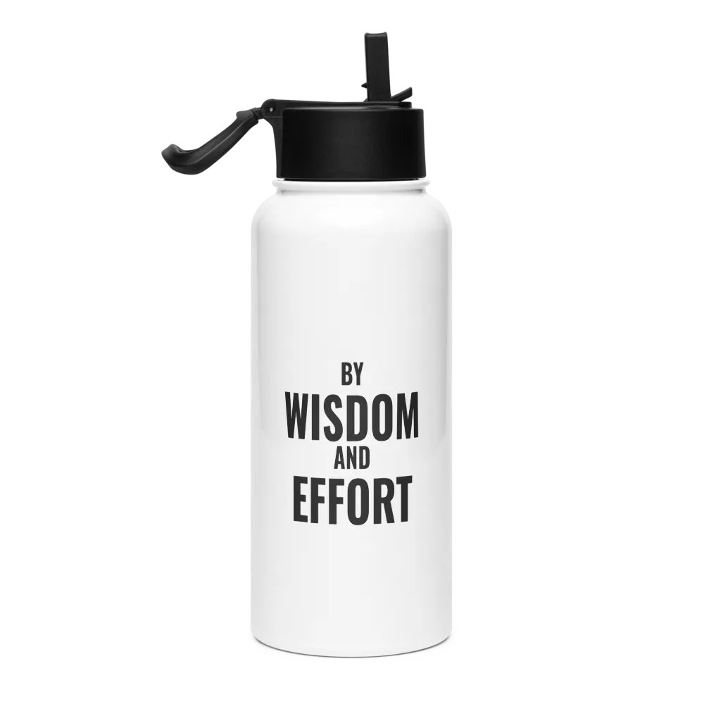Stainless Steel Bottle product image (1)