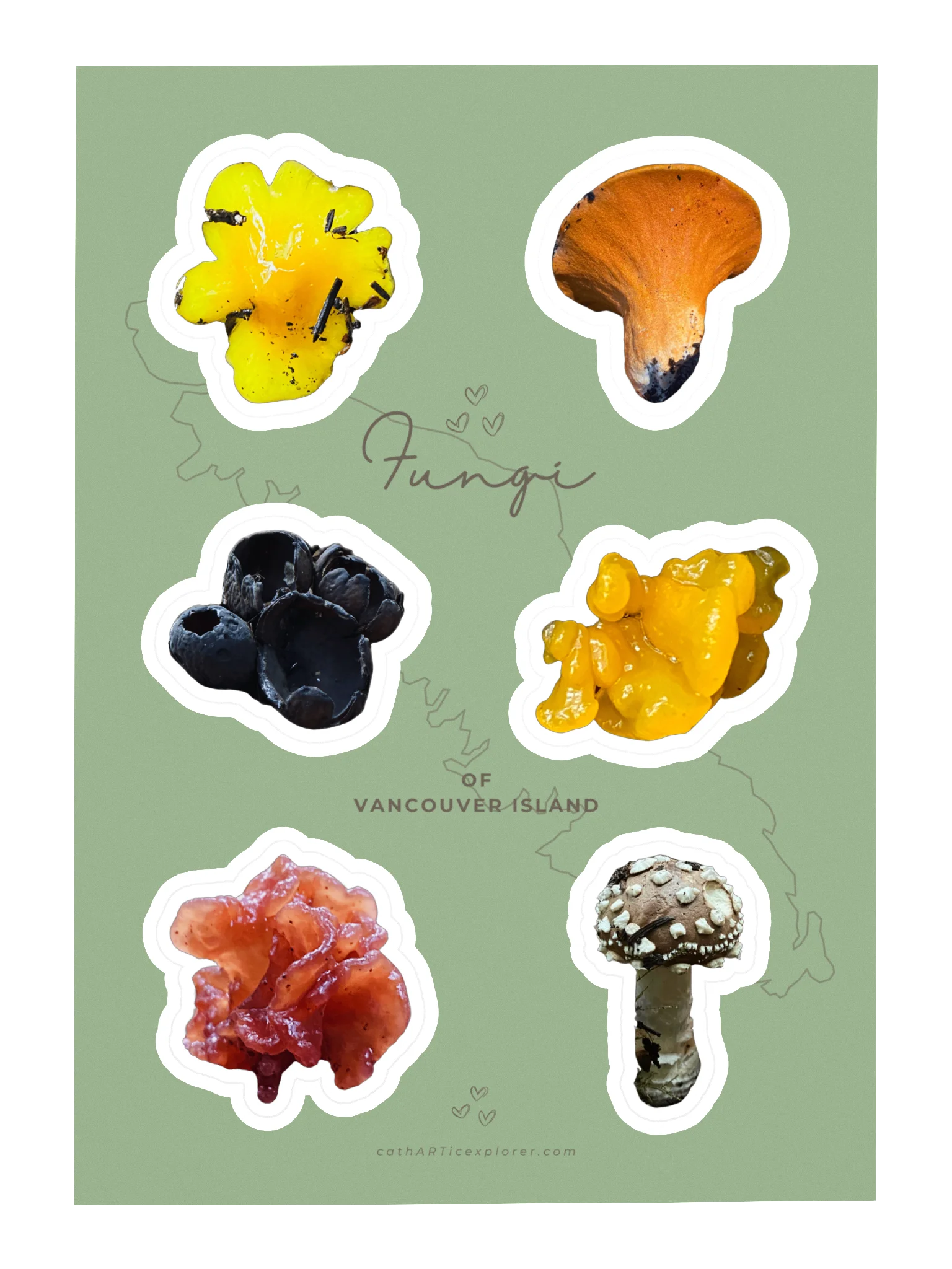 Fungi Sticker Sheet 1 product image (1)