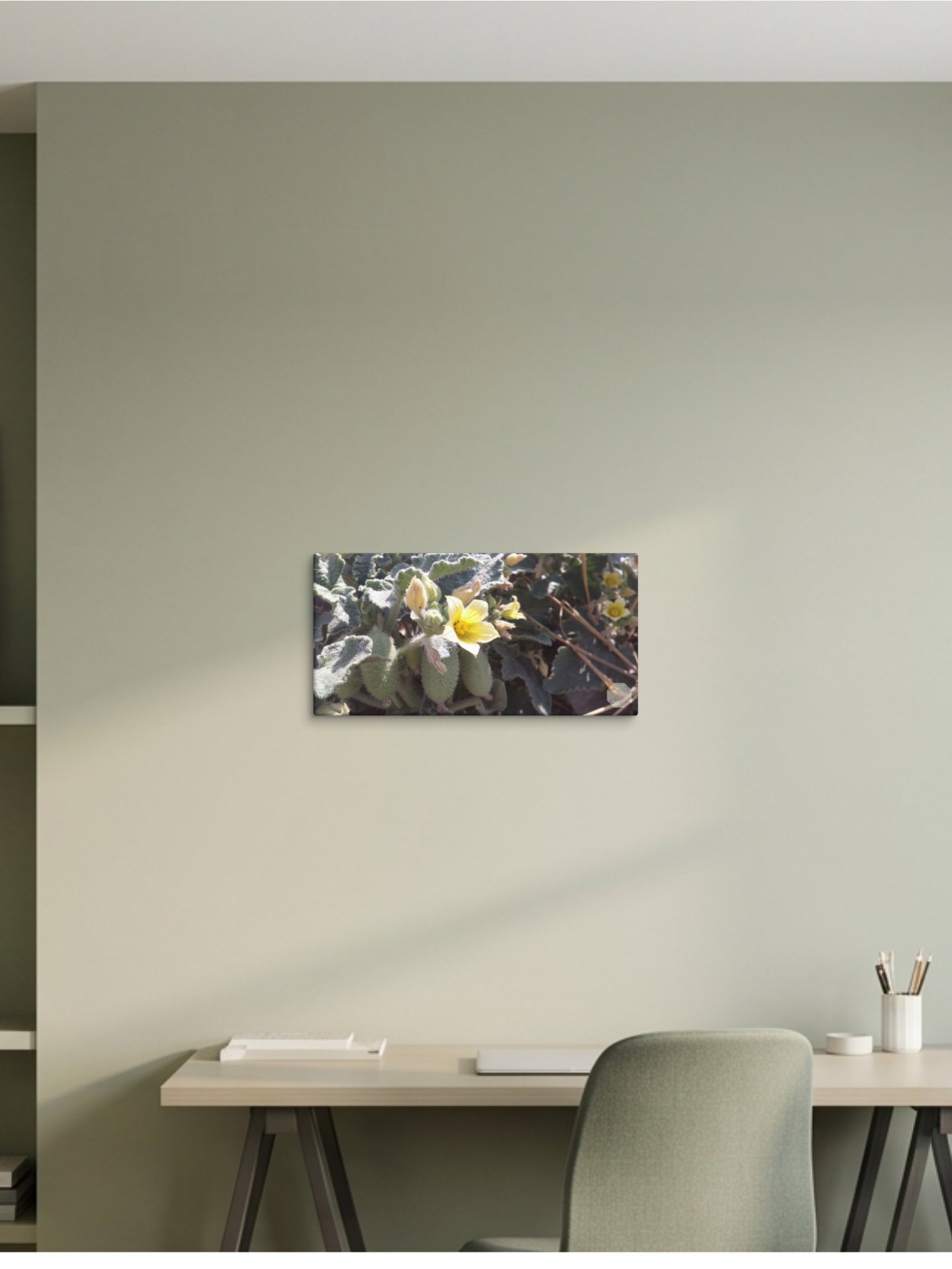 P. Dipsaceus - Canvas Fine Art product image (3)
