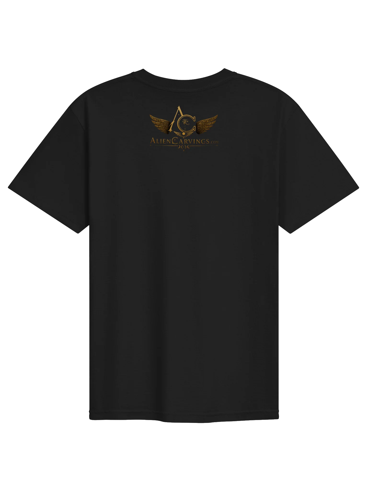 The Preservation of Knowledge Premium T-Shirt product image (2)