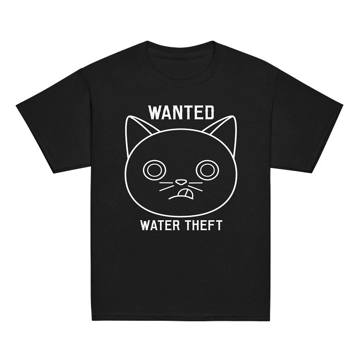 Wanted (Water Theft) - Unisex Youth Heavyweight T-shirt product image (2)