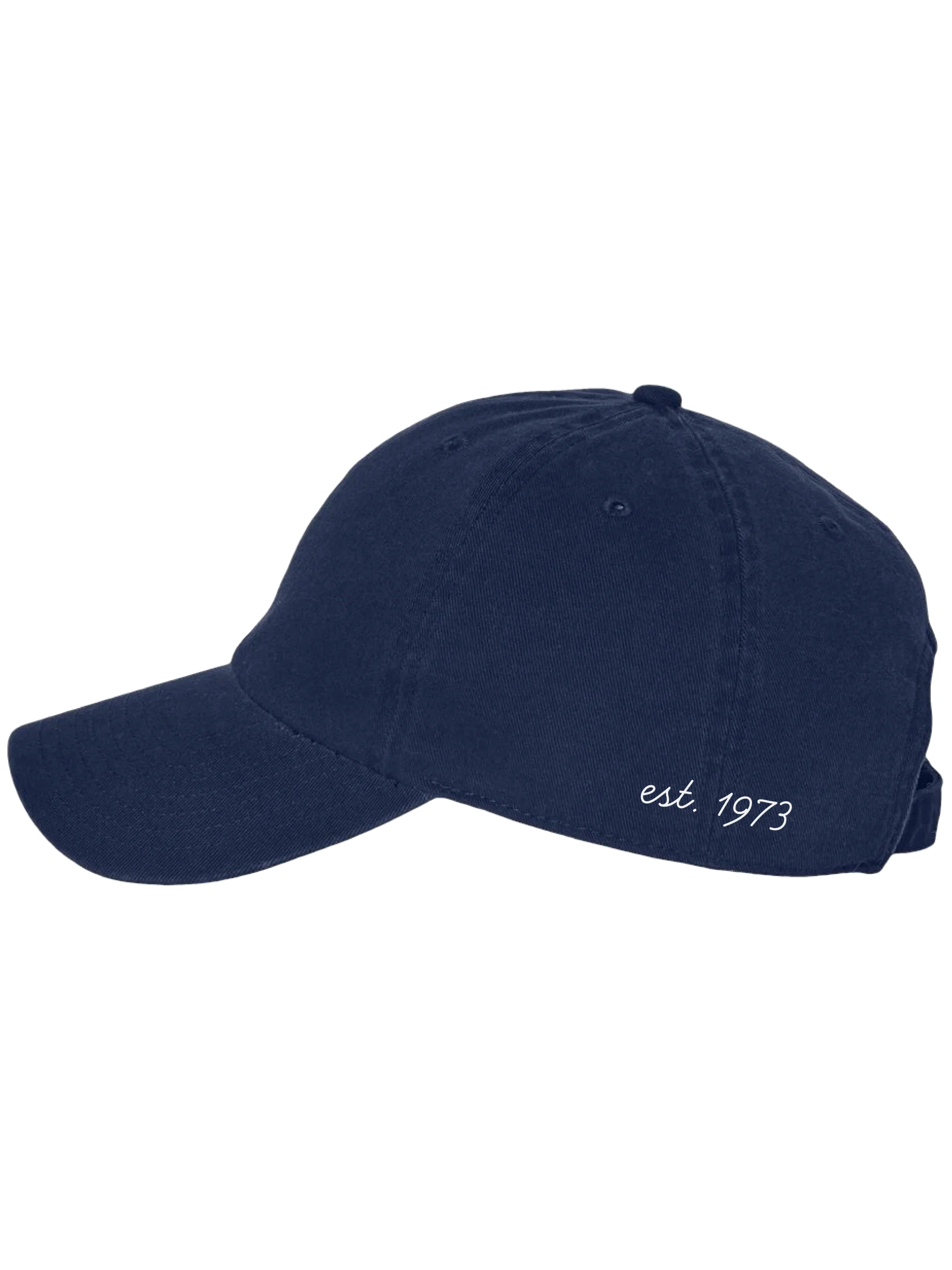 WIF VINTAGE UNISEX ‘47 CAP product image (2)