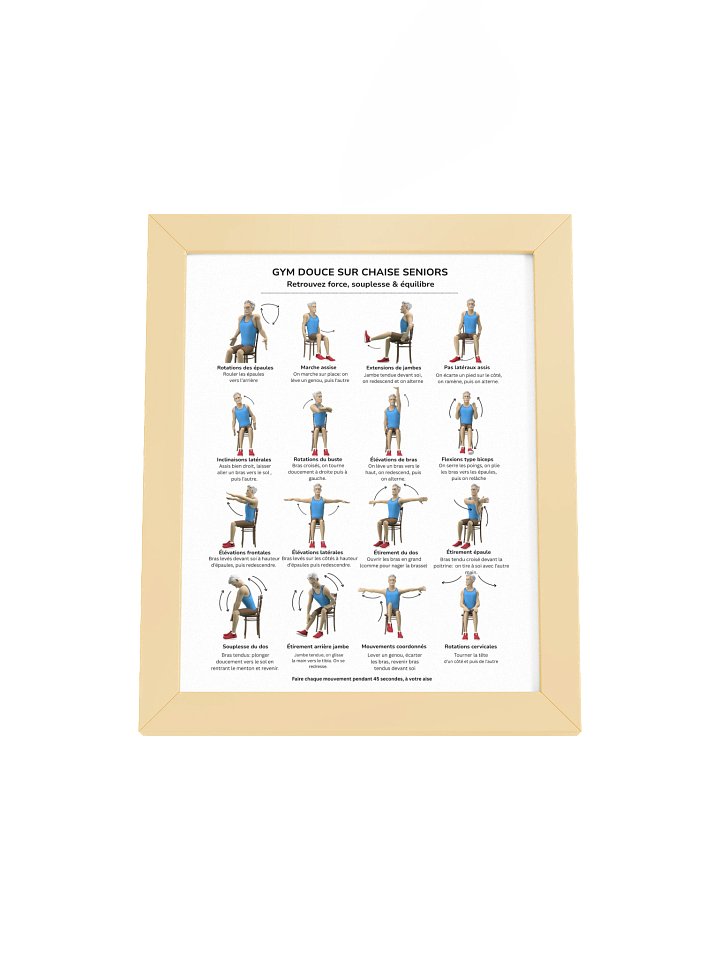Cadre Gym douce sur chaise pour seniors product image (1)
