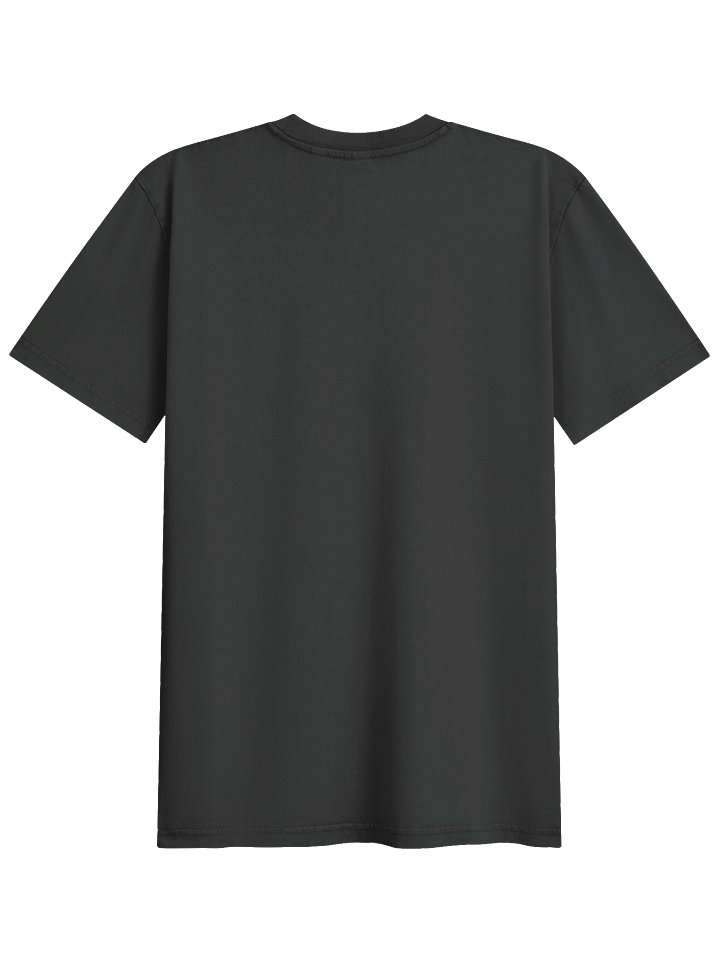 PRINTED Garment-Dyed T-Shirt product image (2)