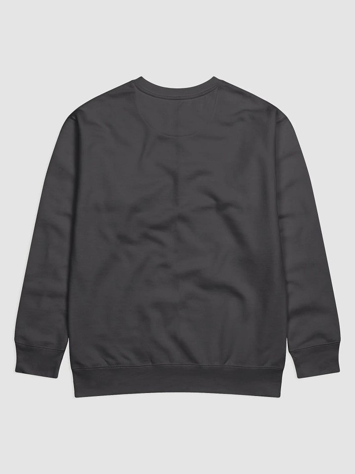 Splash of Style Sweatshirt product image (10)