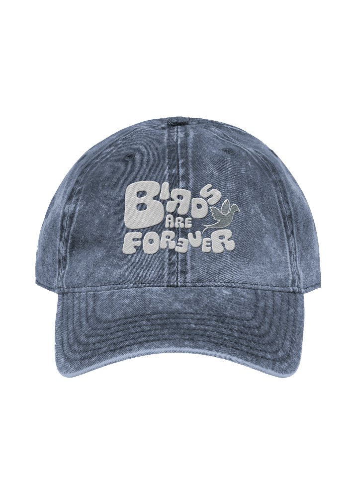 Birds Are Forever Dad Hat product image (2)