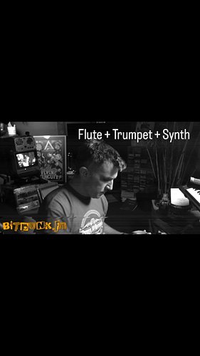 I live stream on Substack bitpunkfm.substack.com #music #trumpet #synth #flute