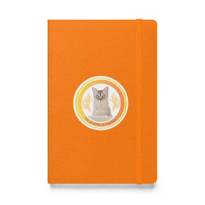 KC, At My Limit (kitty), Journal product image (1)