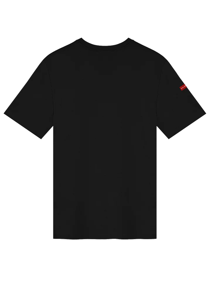 STFC Briefings VOTP Designer Collection Premium T-Shirt product image (16)