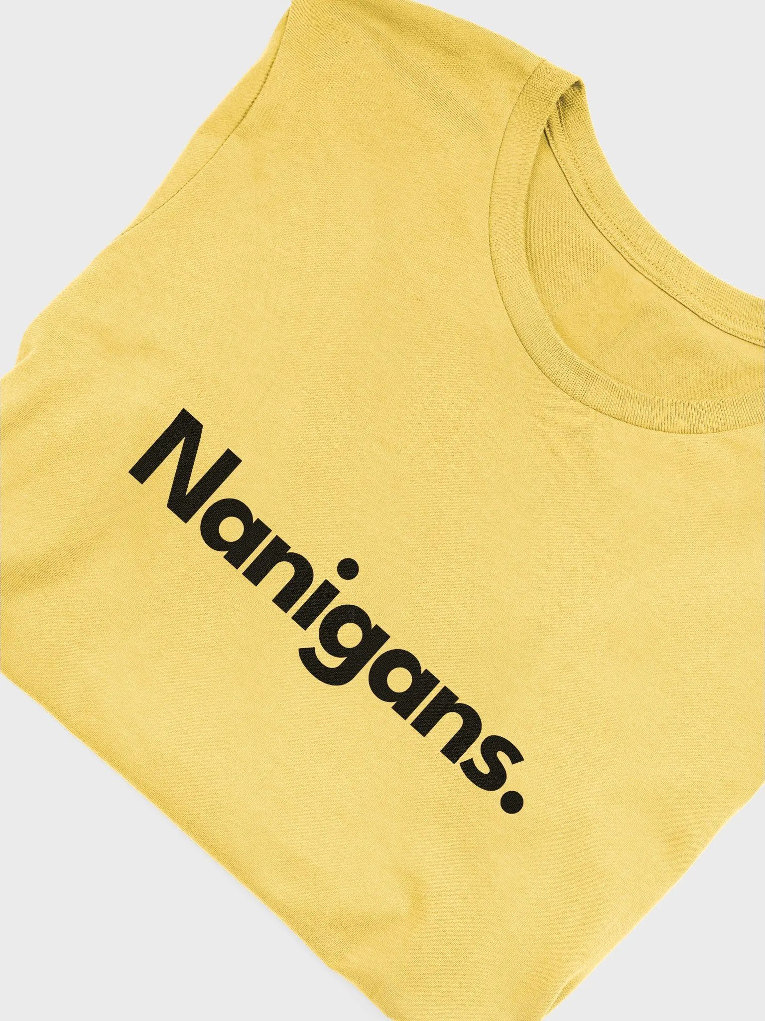 Nanigans. product image (37)