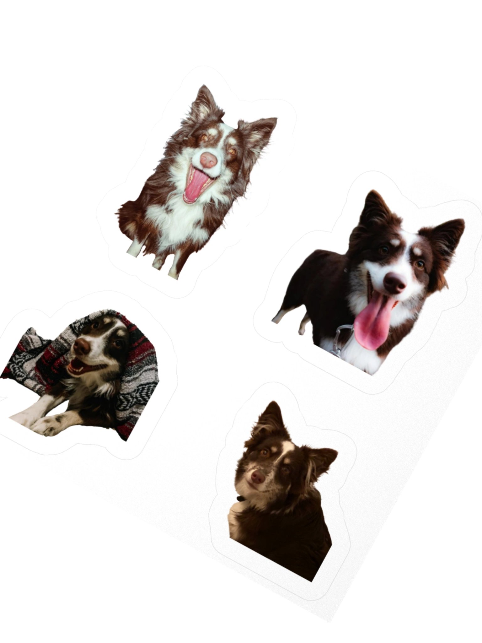 Aspen Stickers product image (6)