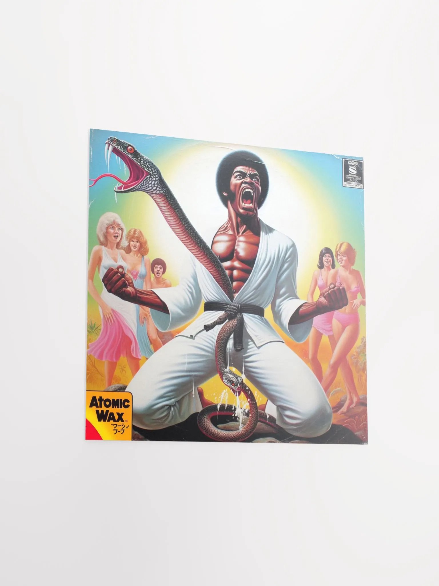 Kung Fu D*ck Mating Call Poster product image (9)