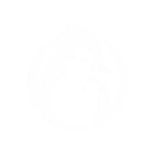 WeilsTTV