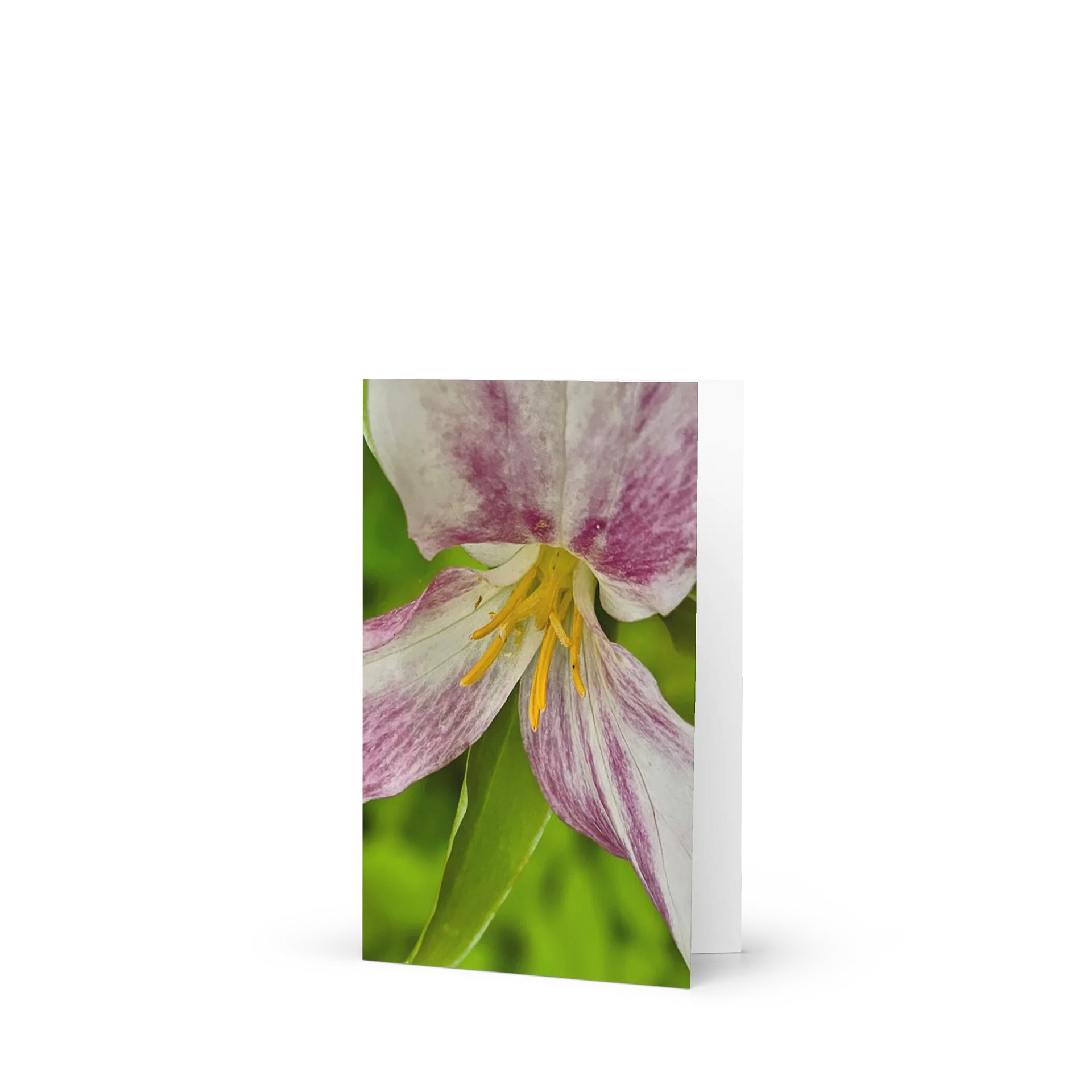 Burst of Color Greeting Card (blank) product image (1)