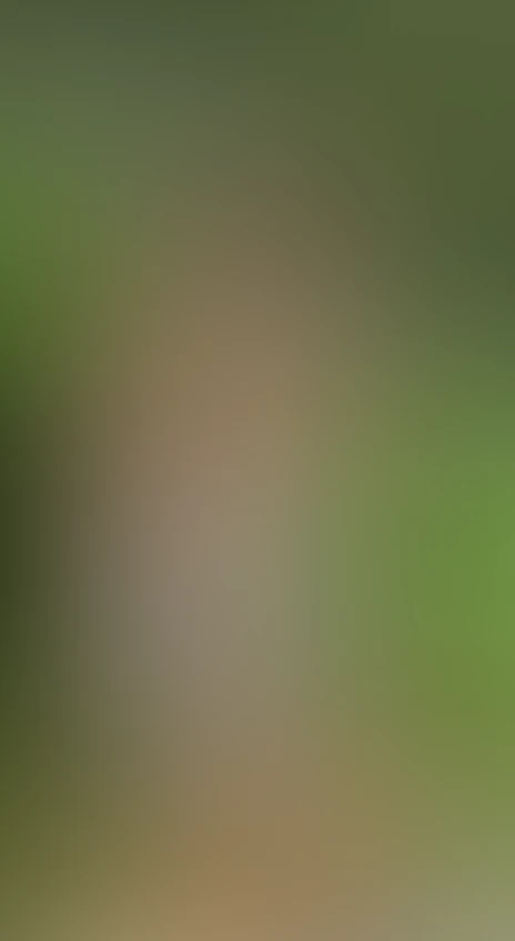Video thumbnail background